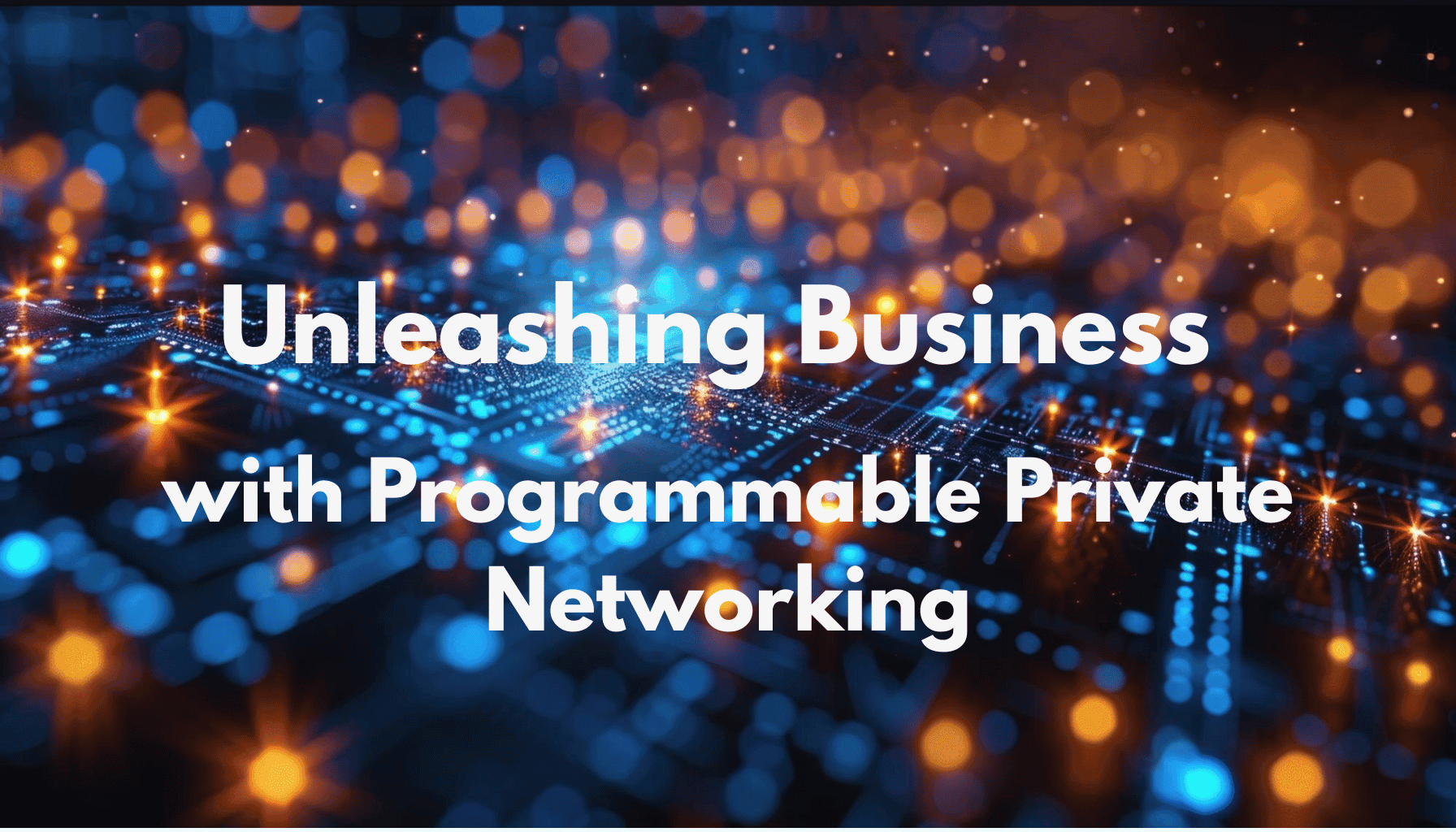 Unleashing Business with Programmable Private Networking